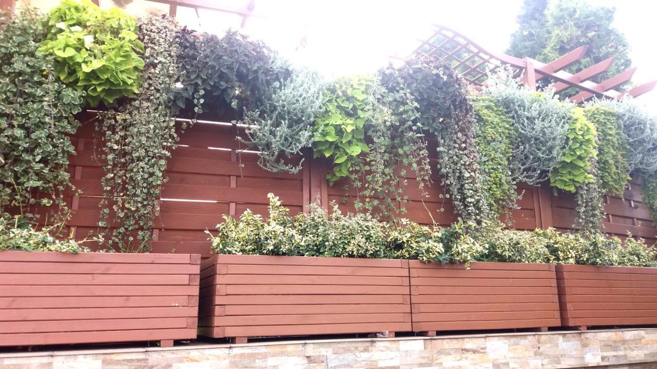 Rades Bed & Breakfast Władysławowo Dış mekan fotoğraf